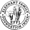 EFFI logo big